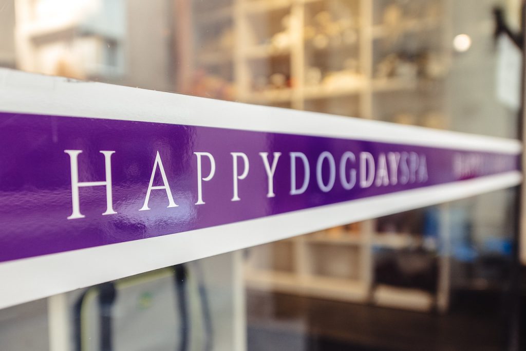 Happy Dog Day Spa Banner