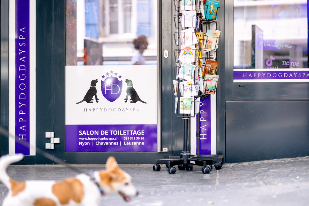 Happy 2024 dog salon